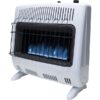 30,000 Blue Flame Nat. W/T-Stat