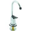 Glass Filler -- Chrome