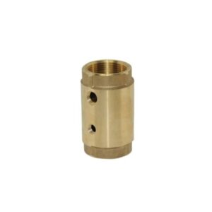 1" Check Valve (S.L.) W/2 Taps