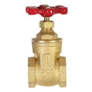 1"     Gate Valve -- FIP