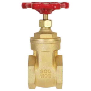 2"  Gate Valve -- FIP