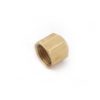 1/4"   Female  Flare  Cap - Image 2