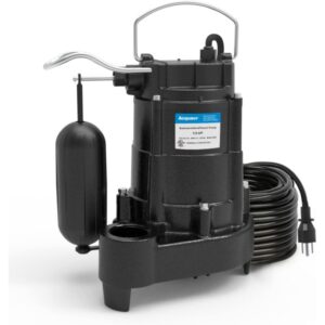 1/3-HP Sump/Effluent Pump