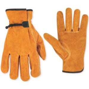 Drivers Glove -- Cowhide Unlined